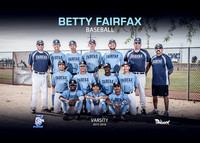 Fairfax Baseball 2015-2016