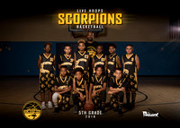 Live Hoops Scorpions Basketball 2018