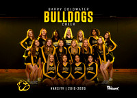 Barry Goldwater Cheer 2019-2020